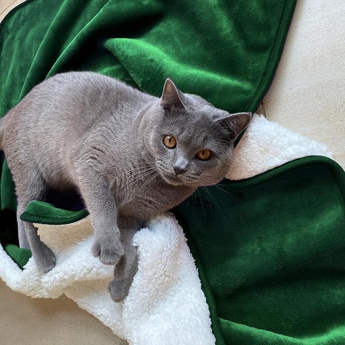 Soft Waterproof Blanket for Bed Couch Sofa, Green, 30x40 inches | Liquid Pee Proof Pet Blanket for Dog Puppy Cat, Reversible Sherpa Fleece Blanket for Couch Cover, Furniture Protector - Image 2
