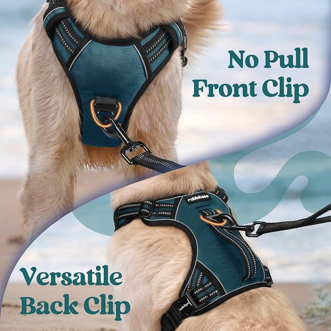 rabbitgoo Large Dog Harness, Easy Wear with 3 Buckles and Lift Handle | No Pull with Front Clip for Walking, Adjustable Soft Padded, Reflective, Easy Control, Green, Medium - Image 6