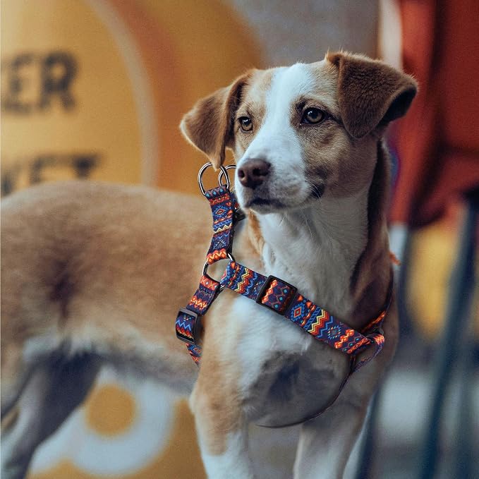 Dog Harness Leash Set Adjustable Heavy Duty No Pull Halter Harnesses for Small Medium Large Breed Dogs Back Clip Anti-Twist Perfect for Walking - Image 2