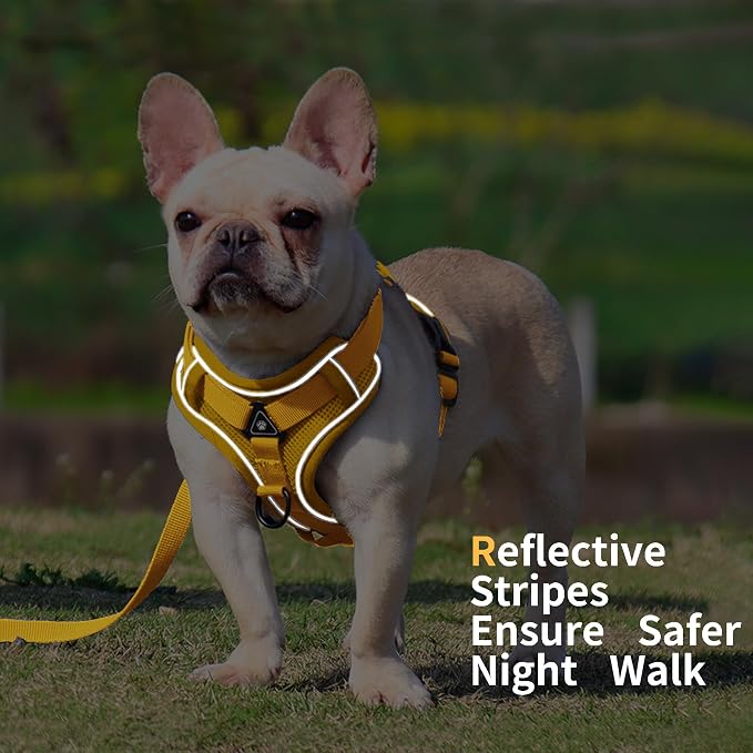 Dog Harness Medium Sized Dog Pet Vest with Leash Set Yellow XL | Adjustable Puppy Vest Harness, No Choke No Pull, Soft Padded, Step-in Dog Vest, Reflective Cat Harness, Breathable Air Mesh - Image 5