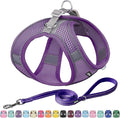 AIITLE Dog Harness and Leash Set, Step-in Puppy Pet Vest, Pure Purple XXXS | Light, Soft, Breathable Air Mesh, Escape-Proof, Easy on and Remove with Hook & Loop, Secure Reflective for Walking by AIITLE-FORPETSBETTERLIFE