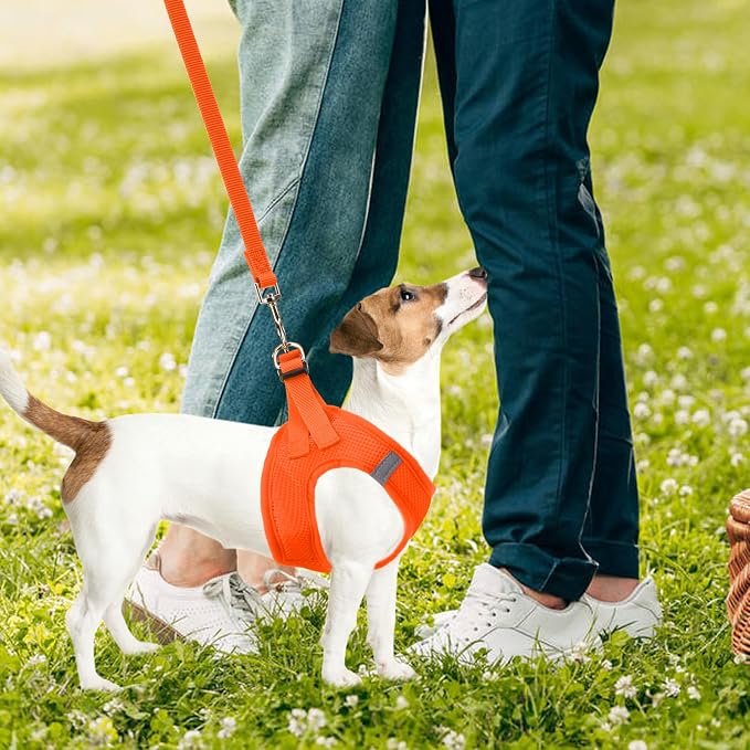 PUPTECK Dog Harness, Collar and Leash Set No Pull for Small Medium Sized | Soft Mesh Puppy Step-in Escape Proof Reflective No Choke Pet Cat Adjustable Walking Vest - Image 7