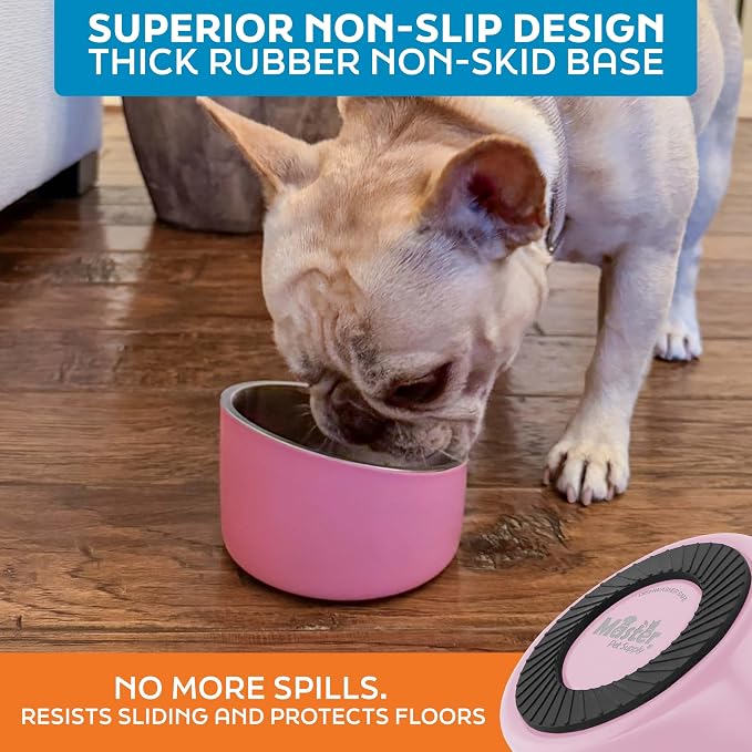 Master Pet Supply Stainless Steel Slanted Dog Cat Food Bowl 8 oz Rose | Heavy Duty Double Wall Insulated Non-Slip Elevated Bowl for French Bulldogs Pugs Cats Anti Rust Dishwasher Safe, Rose Quartz - Image 5