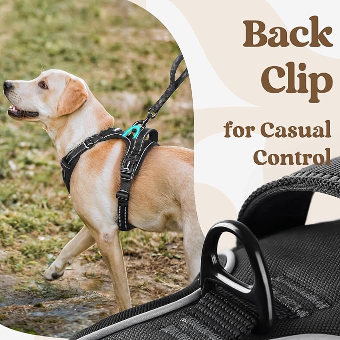 rabbitgoo Dog Harness Medium Sized, Updated Easy On & Off with 3 Buckles | No Pull No Choke, Walking with 2 Clips and Handle, Adjustable Soft Reflective, Sky Blue, Medium - Image 6