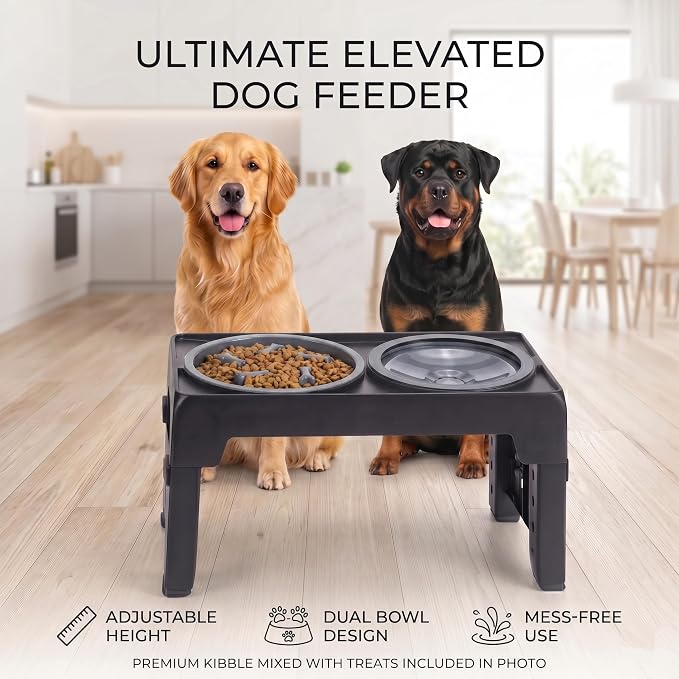 LALOBLUE Collapsible Dog Bowls Raised Elevated Adjust Stand | Elevated Dog Bowls, Dog Bowls Raised, Dog Bowls Elevated,5 Heights Adjustable Elevated Raised Dog Bowls Stand - Image 7