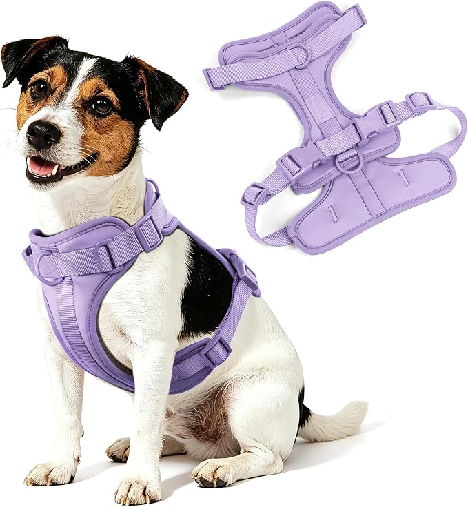 Wisedog Lightweight No Pull Dog Harness, Lilac, X-Small | Air Mesh, 3 Clips, Adjustable, No Choke Design, Ideal for Walking Training - Image 8