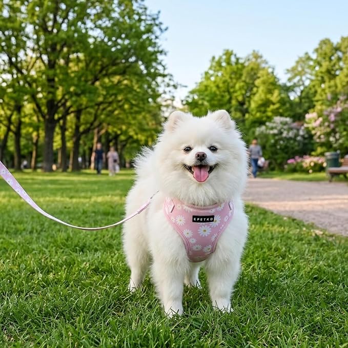 Small Dog Harness and Leash Set of 6, No Pull Soft Lightweight Mesh Puppy Harness， Adjustable Cute Floral Pattern Pet Harness for Small Medium Dogs (Pink Flowers, S) - Image 7