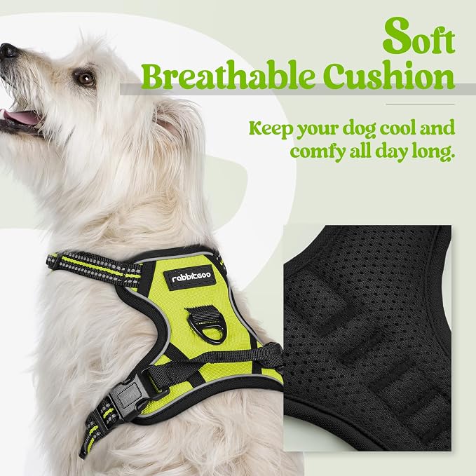 rabbitgoo Dog Harness No Pull with 2 Leash Clips, Adjustable Soft Padded, Reflective Oxford No Choke Pet Vest with Easy Control Handle for Puppy, Green, XS | No Choke with Handle, Adjustable Soft Padded, Reflective, Easy Control for Walking, Wild Lime,... - Image 2
