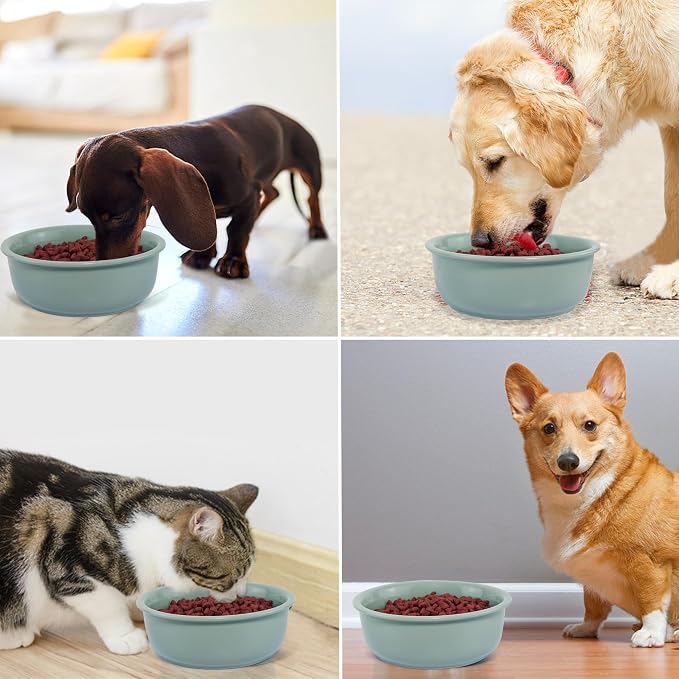 Ceramic Replacement Dog Bowl for Wordcam SS02 Model, 6.9"X2.6", Light Green | Food and Water Bowl Set, for Small Medium Cats, Pet Feeding Dishes for Dogs 20-35lbs, Thicker Ceramic, Anti-Skid, 28Oz/800ML - Image 7