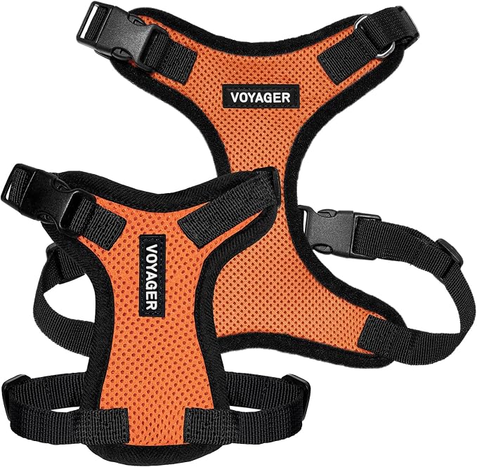 Voyager Step-in Lock Dog Harness - Orange/Black Trim, X-Small | 13 - 16" in Chest, Adjustable, Breathable Air Mesh, Lightweight for Daily Walks, Strong Clips, Heavy Duty D-Ring - Image 6