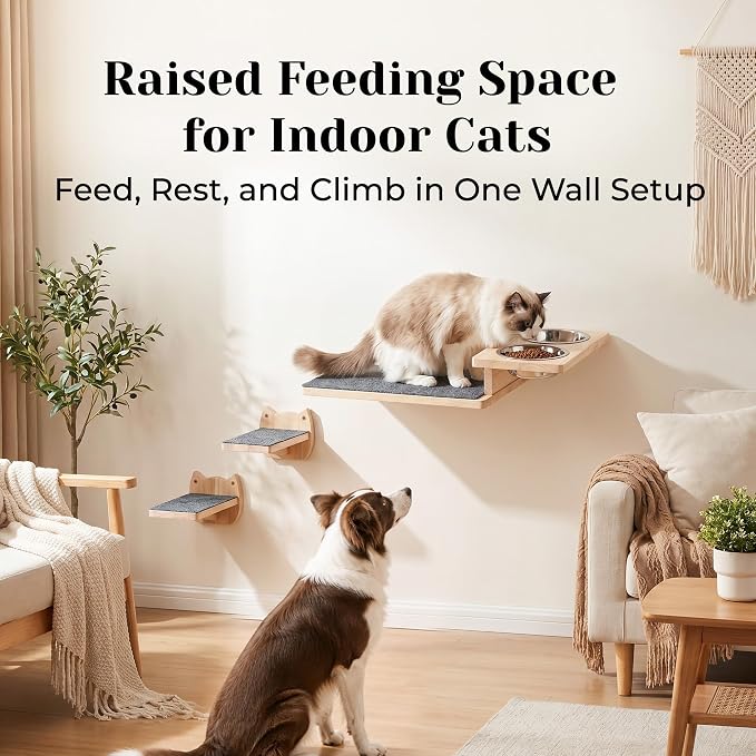 PatiencET Wall Mounted Shelves Cat Feeding Station with 3 Steps and 2 Bowls | Elevated feeding zone helps separate meals in homes with cats and dogs or multiple cats, plus a perch for climbing and rest. - Image 2