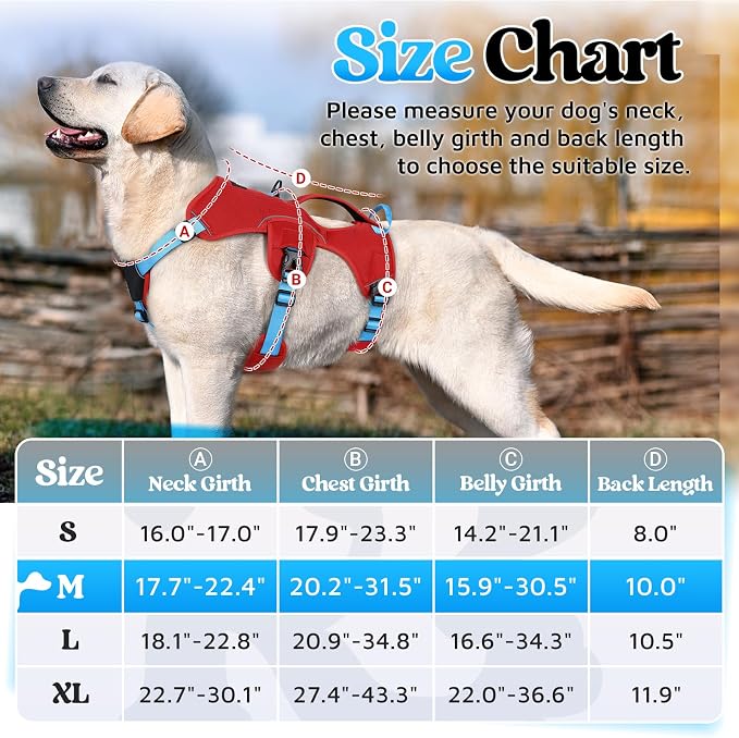 rabbitgoo Escape Proof Dog Harness for Medium, No Pull with Lift Handle | No Escape, Full Soft Padded, Reflective Adjustable Vest, Leash Clip for Walking Hiking Training, Sky Blue & Red, Medium - Image 9