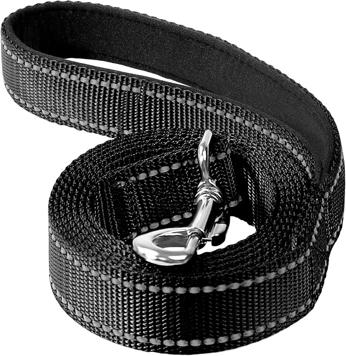 6FT Reflective Dog Leash, Padded Handle for Medium Large Dogs | Comfortable Nylon, Soft Handle Cushioning, Reflective Safety at Night, Walking Leash for Park & Hiking (1in, Black) by Erbine