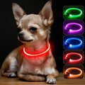 Light Up Dog Collar - Rainproof LED Dog Collar Rechargeable - TPU Cuttable Glowing Puppy Collar for Small Dogs& Cats, High Visibility Safety Dog Lights for Night Walking (XS-Red 40cm) by BSEEN
