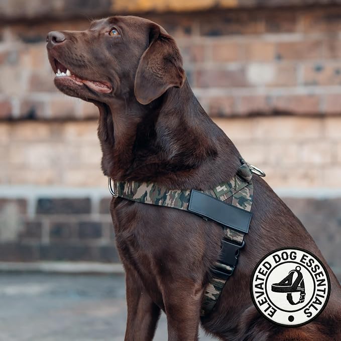 Dog Friendly Co. Dog Harness for Small Dogs (Green Camo, Small) | One Click Buckle, Chafe Resistant Webbing, Adjustable Neck & Chest, and Heavy Duty D-Ring, Sturdy Comfortable and Easy to Use - Image 5