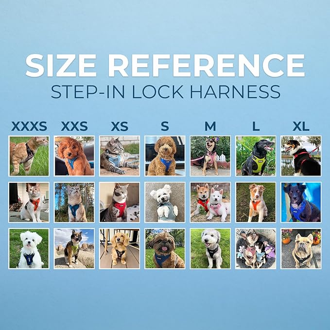 Voyager Step-in Lock Dog Harness - Turquoise/Black Trim, Large | 20 - 25" in Chest, Adjustable, Breathable Air Mesh, Lightweight for Daily Walks, Strong Clips, Heavy Duty D-Ring - Image 7