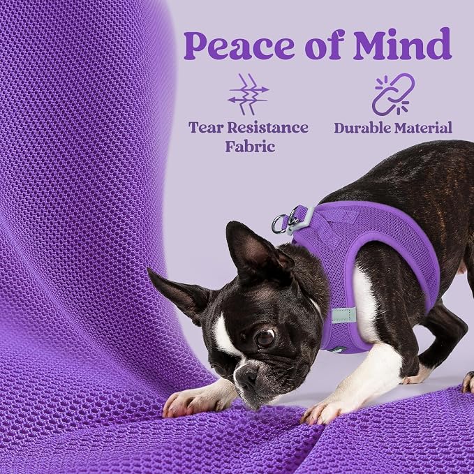 rabbitgoo Step-in Small Dog Harness, Puppy Vest for Small Medium Sized Pet | Easy Put on and off, Lightweight, Soft, Breathable Quick-Dry Air Mesh for Comfortable Secure Walking, Purple XL - Image 7