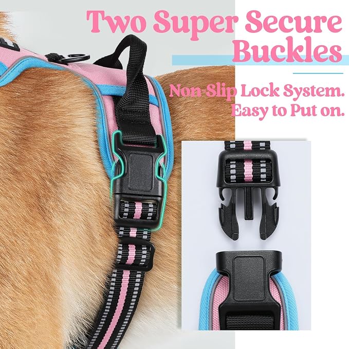 rabbitgoo Dog Harness, No Pull Medium Sized with 2 Leash Clips, Pet Vest | No Choke with Handle, Adjustable Soft Padded, Reflective, Easy Control for Walking, Pink & Blue, Medium - Image 4
