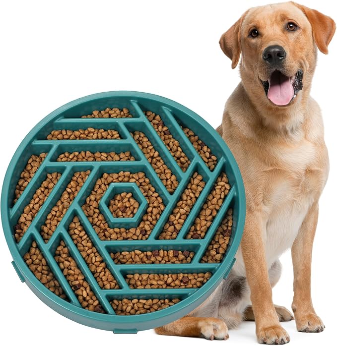 WHIPPY Slow Feeder Dog Bowl, Puzzle Maze Design to Slow Down Eating, 3-Cup Capacity, Anti-Gulping Food Bowl for Medium & Large Dogs,Green by WHIPPY