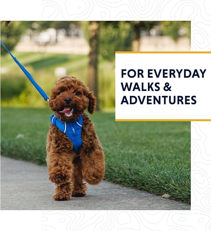 Ruffwear, Front Range Dog Leash, 5 ft Lead, Basalt Gray | Light & Strong Lockable Swivel Crux Clip, Padded Handle, Durable Webbing, Traffic Handle & Accessory Loop for Everyday Walks - Image 2