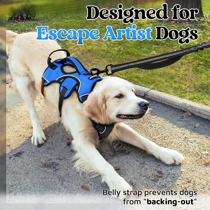 rabbitgoo Escape Proof Dog Harness for Large, No Pull with Lift Handle | No Escape, Full Soft Padded, Reflective Adjustable Vest, Leash Clip for Walking Hiking Training, Blue, Large - Image 2