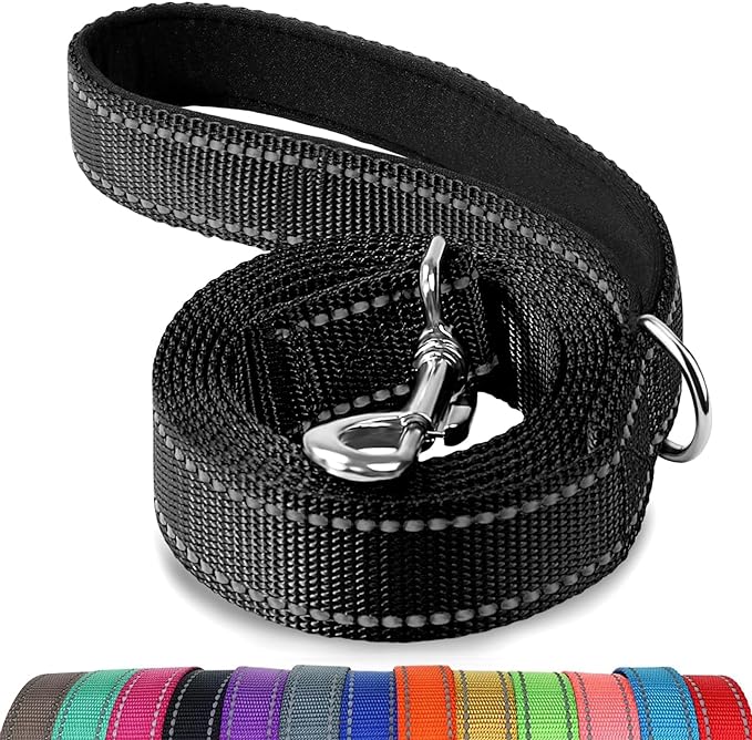 Joytale Reflective Dog Leash for Small Dogs, 5 FT x 3/4", Black | Heavy Duty Nylon Webbing, Padded Handle for Comfort, Visible at Night, for Walking & Training by Joytale