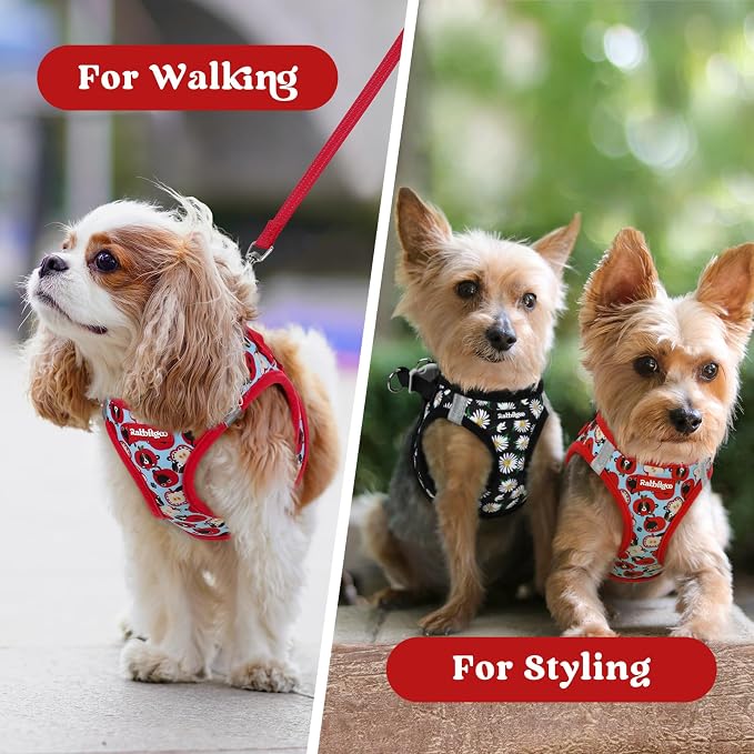 rabbitgoo Step-in Small Dog Harness, Puppy Vest for Small Sized Pet | Easy Put on and off, Lightweight, Soft, Breathable Quick-Dry Air Mesh for Comfortable Secure Walking, Apple Pups XS - Image 9