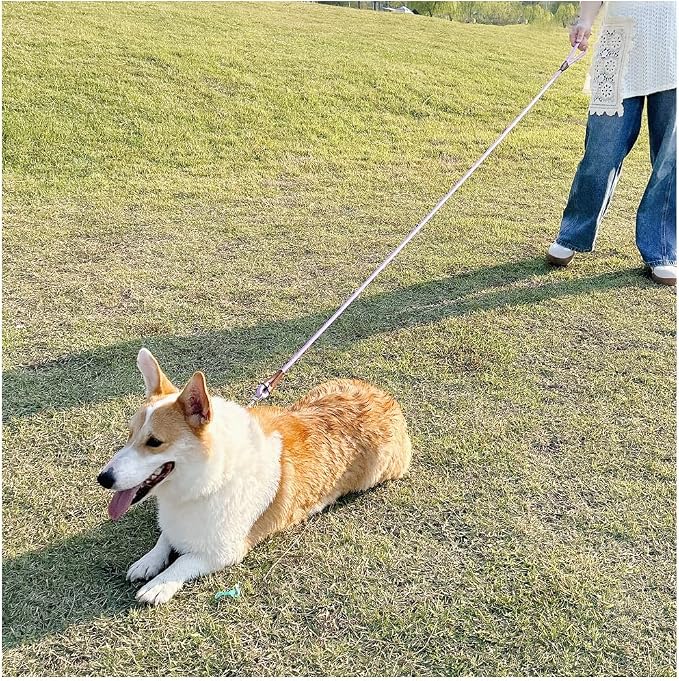 MayPaw 6/8 /10 FT Dog Leash, Classic Solid Colors, Strong Nylon Rope Dog Leash Reinforced with Leather Tailor Connection Heavy Duty Silver Clasp (Purple, 10ft*1/2") - Image 7