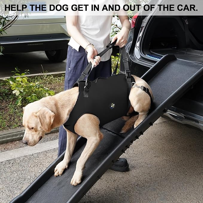 Coodeo Dog Lift Harness, Pet Support & Rehabilitation Sling Lift Adjustable Padded Breathable Straps for Old, Disabled, Joint Injuries, Arthritis, Loss of Stability Dogs Walk (Black, XS) - Image 5