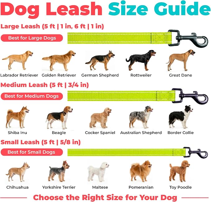 Best Pet Supplies Voyager Nylon Dog Leash - Lime Green, Large | 5ft in Length, 1" in Width, Reflective, Soft Neoprene Handle, Heavy Duty Metal Clips for Running, Walking & Training - Image 6