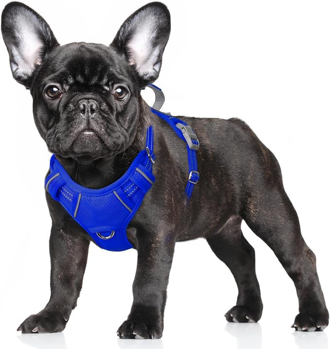 BARKBAY No Pull Dog Harness Large Reflective Dog Harness with Front Clip and Easy Control Handle for Walking Training Running with ID tag Pocket(Sapphire Blue,S) by BARKBAY