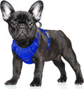 BARKBAY No Pull Dog Harness Large Reflective Dog Harness with Front Clip and Easy Control Handle for Walking Training Running with ID tag Pocket(Sapphire Blue,S) by BARKBAY