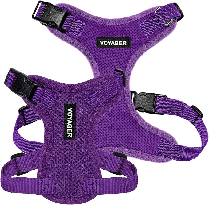 Voyager Step-in Lock Dog Harness - Purple, X-Small | 13 - 16" in Chest, Adjustable, Breathable Air Mesh, Lightweight for Daily Walks, Strong Clips, Heavy Duty D-Ring - Image 6
