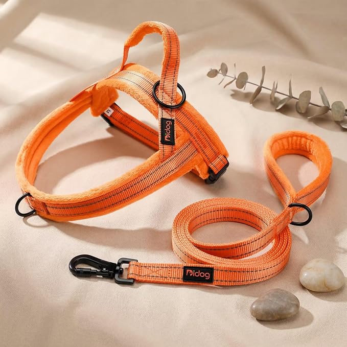 Didog 6FT Reflective Dog Leash for Medium Large Dogs,Slim 3/4" Width,Orange | Soft Padded Handle, Plush Comfort Grip, Tangle-Free, 360°Heavy-Duty Strengthened Clasp for Daily Walks/Training, Night Safety - Image 7