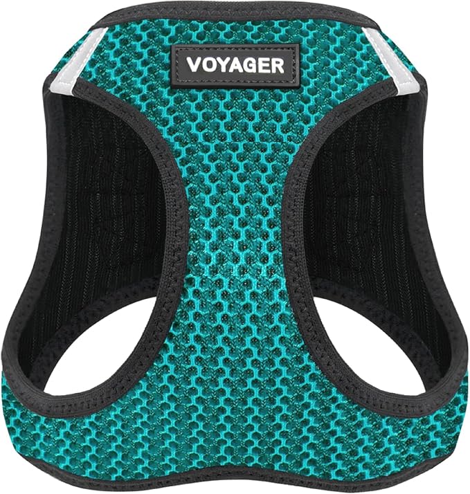 Voyager Step-in Air Dog Vest Harness - Turquoise 2-Tone, Medium | 16 - 18" in Chest, Reflective Bands, All Weather Breathable Air Mesh, Cats Compatible, Lightweight, Fast Drying by BestPetSuppliesLLC