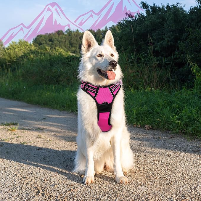 Eagloo Dog Harness for Large Dogs, No Pull Pet Vest with 2 Leash Clips | No Choke with Handle, Adjustable Comfort Fit, Reflective Strips, Easy Walking Control, Rose Red, X-Large - Image 8