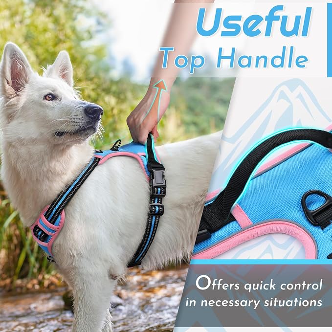 Eagloo Dog Harness for Medium Sized Dogs, No Pull Vest with 2 Leash Clips | No Choke with Handle, Adjustable Comfort Fit, Reflective Strips, Easy Walking Control, Pink & Sky Blue, Medium - Image 4