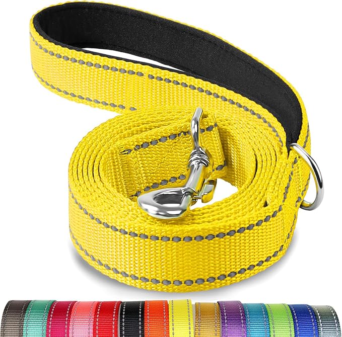 Joytale Reflective Dog Leash for Small Dogs, 5 FT x 3/4", Yellow | Heavy Duty Nylon Webbing, Padded Handle for Comfort, Visible at Night, for Walking & Training by Joytale