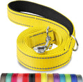 Joytale Reflective Dog Leash for Small Dogs, 5 FT x 3/4", Yellow | Heavy Duty Nylon Webbing, Padded Handle for Comfort, Visible at Night, for Walking & Training by Joytale