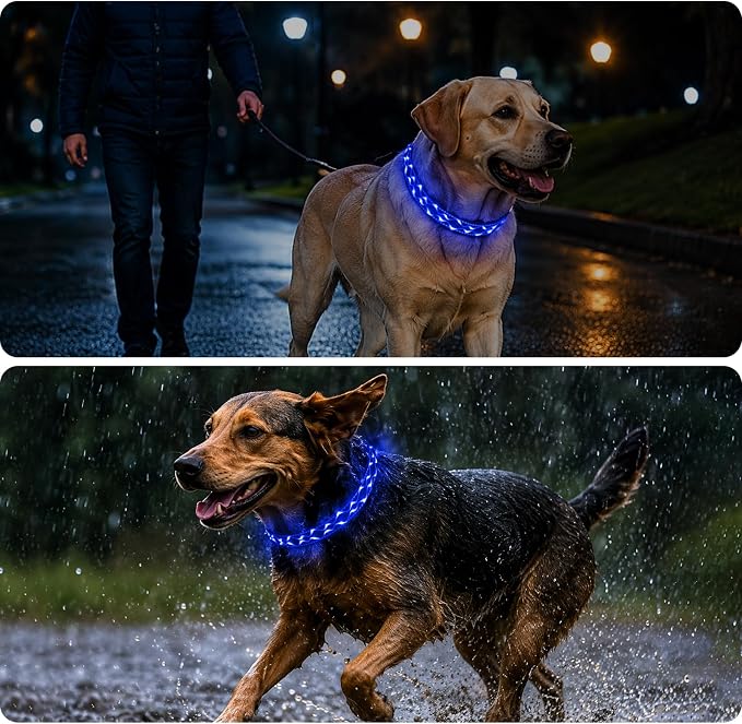 Rechargeable LED Dog Collar for Night Walking, Embroidered Rope Light | The LED light is visible from 360 degrees, anti-loss and enhancing outdoor walking safety(Medium Blue) - Image 7