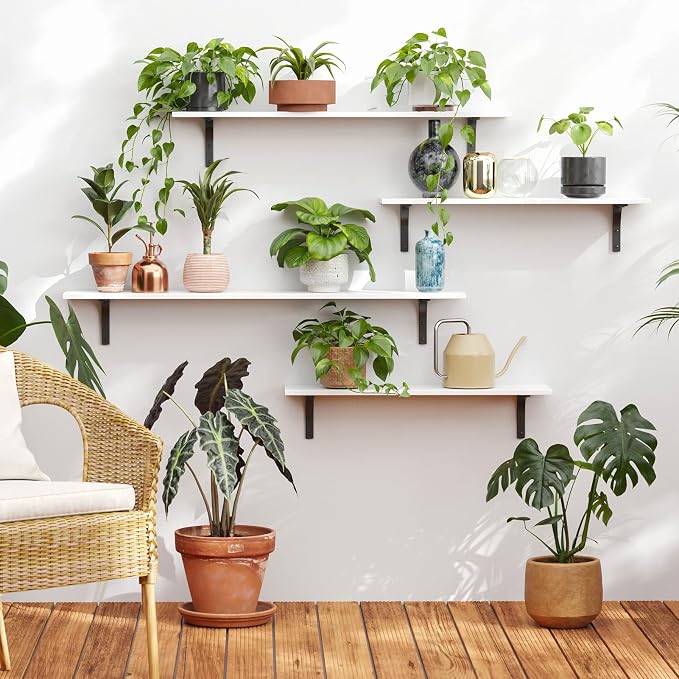Long Wall Shelves, 31.5Inch Wooden Wall Mounted Shelves, Set of 2 | Floating Book Shelf, Sturdy Metal Bracket Easy Assembly, Max Load 22lbs, Wall Storage Ledges, Bedroom/Bathroom/Kitchen, White - Image 5