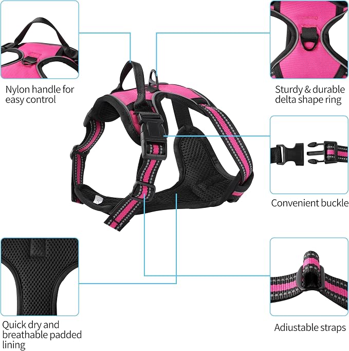 Hot Pink No-Pull Dog Harness with 2 Leash Clips，Soft Padded Vest for Large Dog, Adjustable Reflective Dog Vest Easy to Put on and Take Off, (Neck: 17"~24", Chest: 24"~32",Hot Pink L) - Image 2
