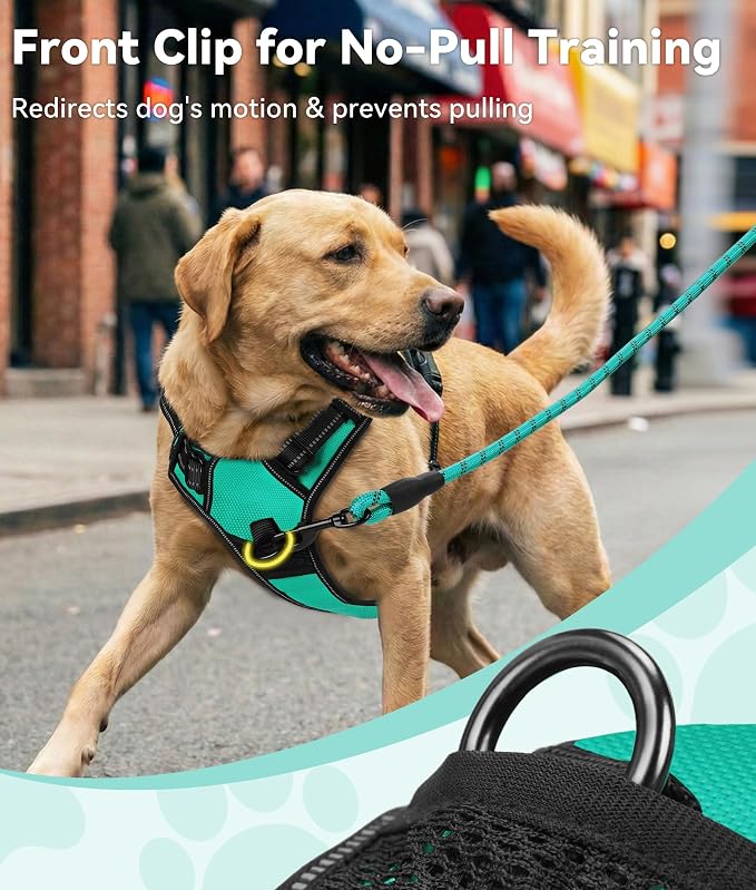 Joytale No Pull Dog Harness Medium Sized Dog, Front Clip, Teal | Grab Handle for Instant Control, Padded & Adjustable Vest, Sturdy Metal D-Rings, for Safe Training & Daily Walking - Image 2