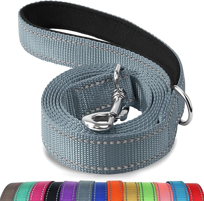 Joytale Reflective Dog Leash for Small Dogs, 4 FT x 3/4", Gray | Heavy Duty Nylon Webbing, Padded Handle for Comfort, Visible at Night, for Walking & Training by Joytale