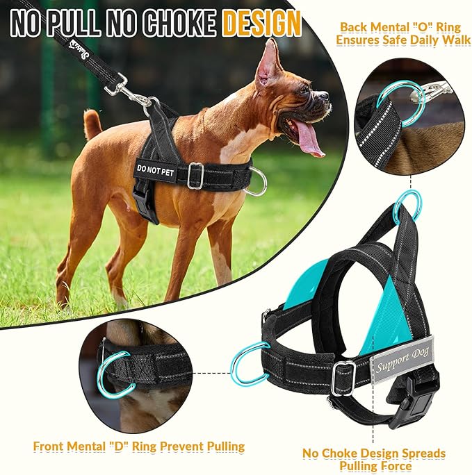 Lukovee No Pull Dog Harness and Leash Set, Soft Padded Vest with Front Clip | Adjustable, No Choke, Reflective,Durable Easy Control Pet Vest Harness for Safe Walking for Medium Large Dogs (Black, M) - Image 2