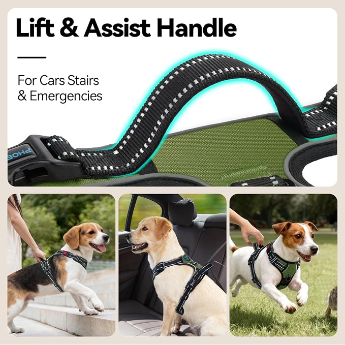 No Pull Dog Harness with Handle Front & Back Clip, Easy on | Lockable Snap Buckle at Neck, Adjustable Reflective Vest with Handle for Small Medium Large Dogs (M, Misty Green) - Image 5