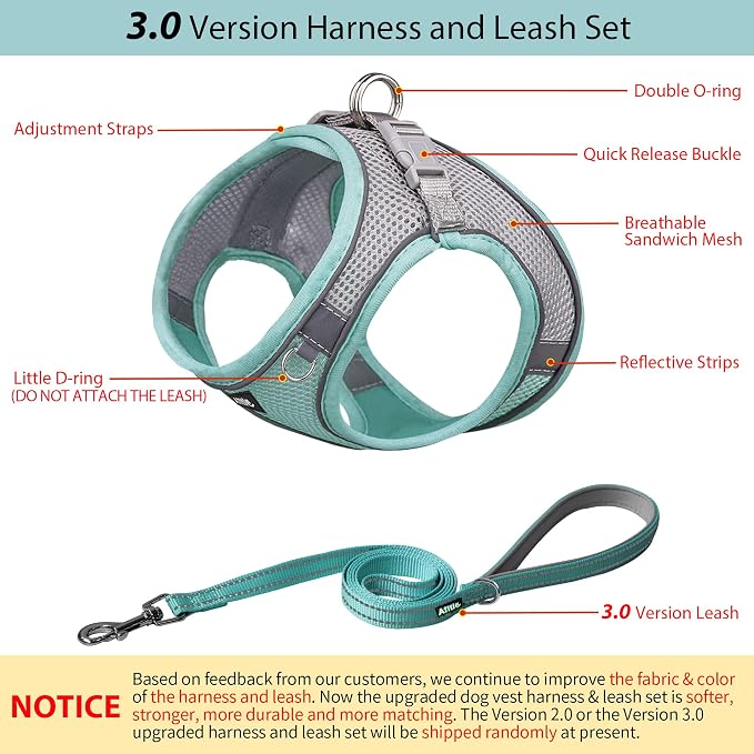 AIITLE Dog Harness and Leash Set, Step-in Puppy Pet Vest, Turquoise XXS | Breathable Mesh, Adjustable Fit, Reflective Design, Padded Leash Handle, for Small-Medium Dogs & Cats, Walking, Training - Image 4