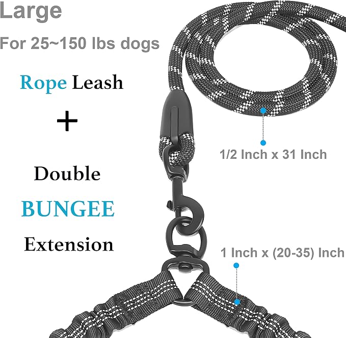 Double Dog Leash, 360° Swivel, No Tangle, Large, 25-150 lbs, Black | Dual Leash for Two Dogs, Split Leash, Shock-Absorbing Bungee, Padded Handle, Heavy-Duty Rope - Image 2