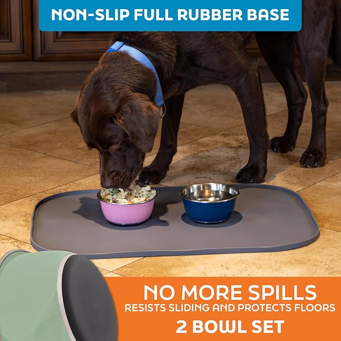 Master Pet Supply Stainless Steel Dog Bowls Set of 2 - Pistachio - 16 Oz | Non-Slip Rubber Base, Basic Dog Food Bowl Water & Food Bowls for Small, Medium, Large Dogs & Cats Metal Dish - Image 4