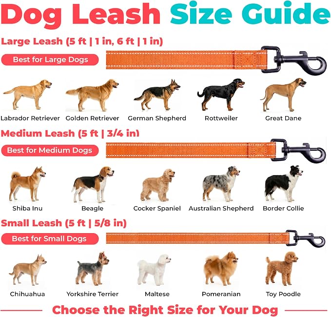 Best Pet Supplies Voyager Nylon Dog Leash - Orange, Medium | 5ft in Length, 3/4" in Width, Reflective, Soft Neoprene Handle, Heavy Duty Metal Clips for Running, Walking & Training - Image 6